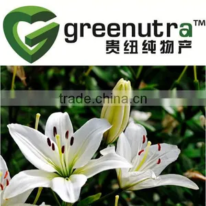 Lily Bulb Extract thumbnail-1
