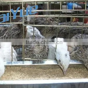 High Quality Quail Cage For Sale thumbnail-1