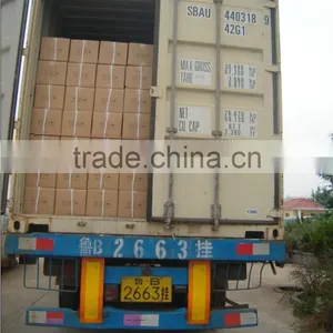 Liquid Chitosan Fertilizer thumbnail-3