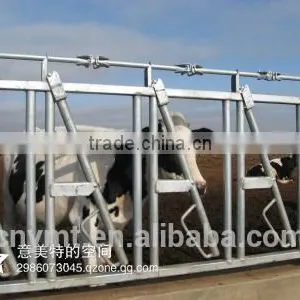 Single Cow Headlock thumbnail-1