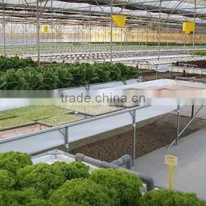 Greenhouse for Agriculture Hydroponics thumbnail-1