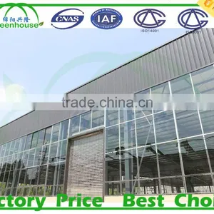 Garden Glass Greenhouse Panels thumbnail-6