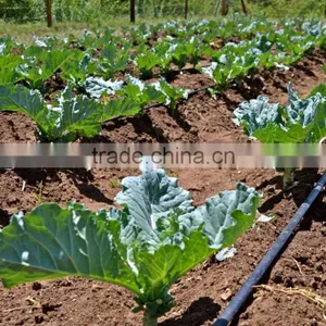 16mm/20mm Drip Irrigation Pipe Drip Pipe Drip Inline Pipe thumbnail-4