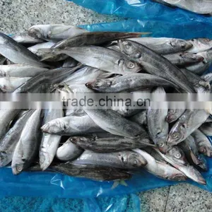 Frozen Seafood Horse Mackerel Fish thumbnail-2