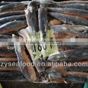 The Best Seller of Seafood Frozen Argentina Squid (Squid Tubes ) thumbnail-1