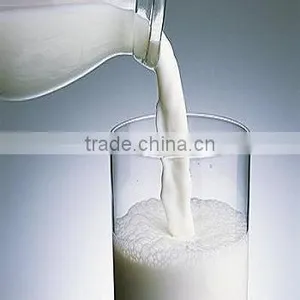Best Milk Replacer Fat Filled Milk Powder for Drink thumbnail-1