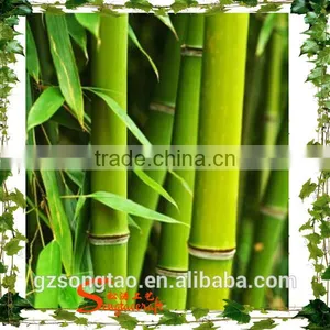 Chinses Factory Cheap Artificial Lucky Bamboo Wholesale Artificial Bamboo Tree Bamboo Poles Wholesale for Home thumbnail-5