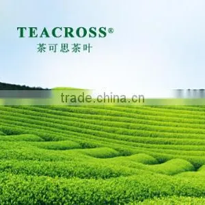 Huangshan Tianzhuang Industry Co., Ltd. company overview - view 1 thumbnail