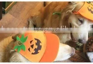 Pumpkin Base Ball Cap for Dog , Dog Pumpkin Base Ball Cap,pumpkin Dog Hat thumbnail-1