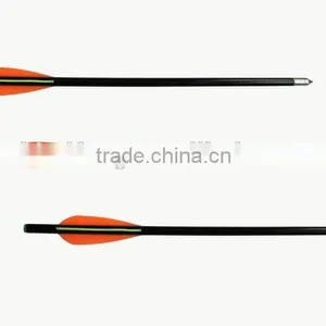 Fiberglass Arrow for Archery Bow,hunting Bow thumbnail-1
