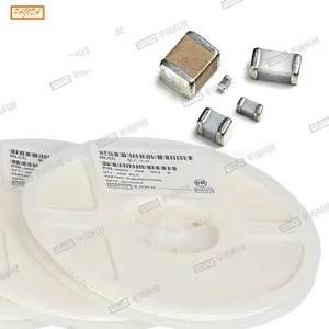 Smd Capacitor 0201 NP0 5R0C 50V thumbnail-1