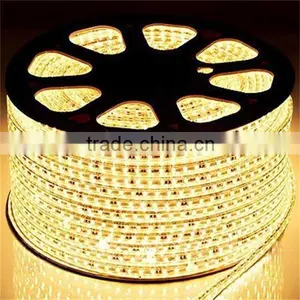 Double Row Smd 2835 Flex Led Strip Warm White Cool White Dual Color Led thumbnail-2