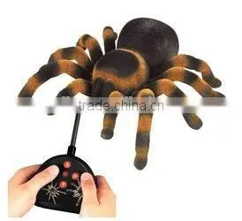 RC Tarantula thumbnail-1