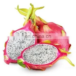 HOT SELLING TROPICAL FRUIT FRESH DRAGON/PITAYA FRUIT FROM VIET NAM thumbnail-1