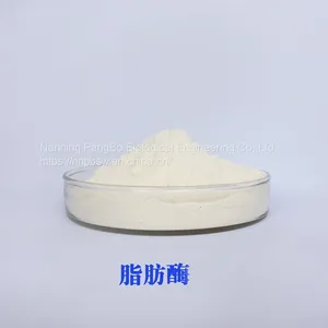LIPASE CAS：9001-62-1 Food Grade thumbnail-2