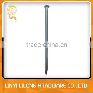 Galvanized Steel Concrete Nail Manufacture thumbnail-1