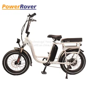 China Mid Drive Vintage Electric Bike for Sale/bicicleta Electrica Ebike /electric Bicycle From Factory thumbnail-3
