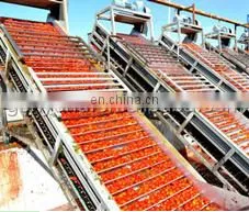 Cold Crush Fresh Tomato Paste /jam/ketchup Production Line for Sale thumbnail-2