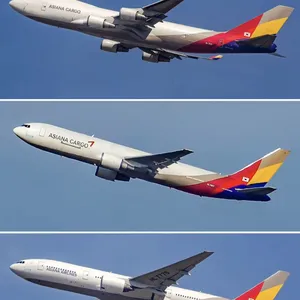 Air Freight/Freight Forwarding/China Import and Export thumbnail-5