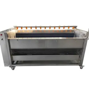 Washing Machine Small Production Capacity Washing for Fruit thumbnail-1