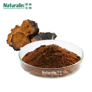 Chaga Mushroom Extract thumbnail-1