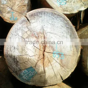 High Quality Comperative Price Laos Keruing Logs thumbnail-3