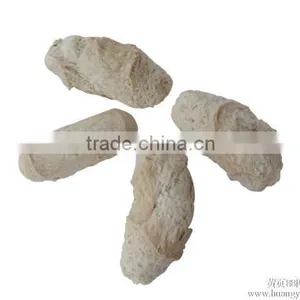 Full Automatic Textured Soya Protein /Soya Meat Production Line thumbnail-2