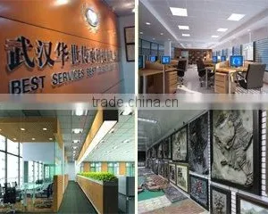 Wuhan HSCC Technology Co., Ltd. company overview - view 1 thumbnail