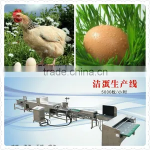 Chinese Automatic Stainless Cleaning Grading Machine for Egg Farmers thumbnail-1