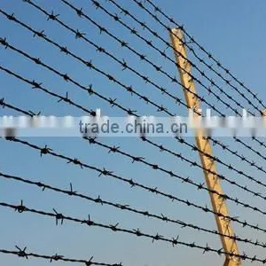 Anping Factory Low Price Barbed Wire thumbnail-4