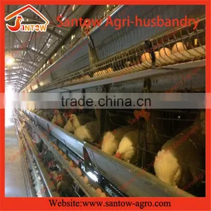 How to Build Stable Steel Structure Battery Cages for Chickens thumbnail-2