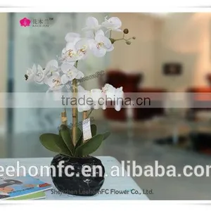 Plastic Flower Orchid Preserved Flower thumbnail-1