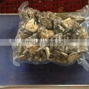 GRADE B ( Shiitake Mushroom ) thumbnail-1