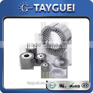 30 Years Experience OEM Stator Rotor Stamping Japan ac Servo Motor thumbnail-1