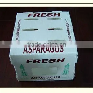 Transparent Corflute Fruit and Vegetable Box thumbnail-1