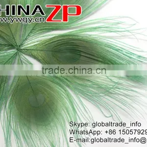 ZPDECOR Factory Bulk Sale Cheap Selling Dyed Mint Green Trimmed Short Peacock Feathers for DIY thumbnail-3