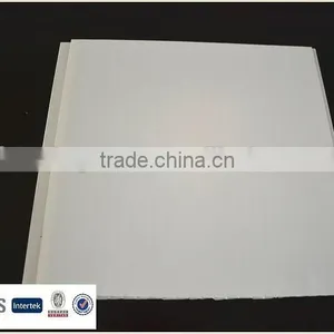 Pvc Transparent Ceilings thumbnail-6