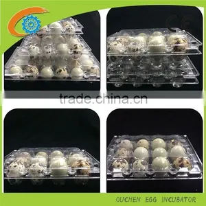 Wholesale Disposable Quail Egg Tray for 6/12/18/20/24/30 Qua thumbnail-5