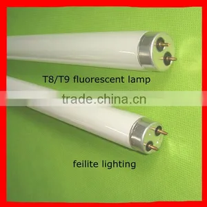 China Products Fluorescein Strips thumbnail-1