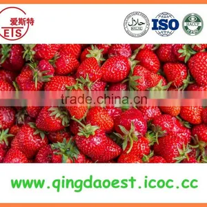 For Sale Best Quality Whole Fresh Strawberry thumbnail-3