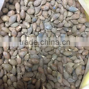 Dried Malva Nut thumbnail-3