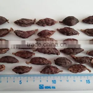 VietNam Cardamom thumbnail-1