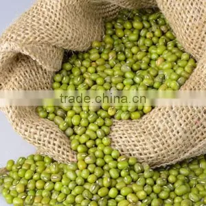 High Quality Vietnam Green Mung Beans for Sale thumbnail-1