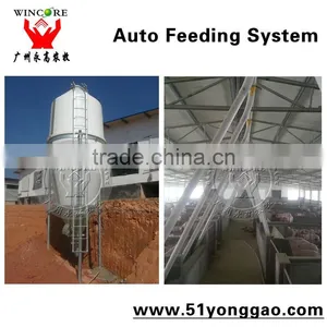 Auto Feeding System for Pig Farm thumbnail-5