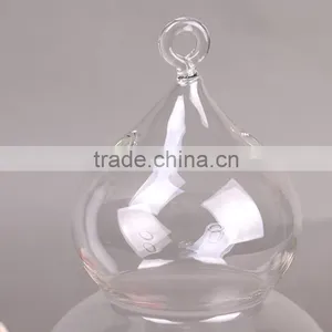 Micro Landscape Ecological Cucurbit Meaty Plant Glass Vase thumbnail-2