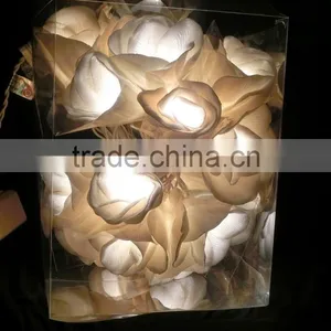 Sola Flower Lights thumbnail-2