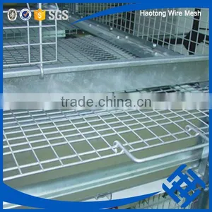 Wholesale Chicken Cage H Type Best Price Poultry Farm Egg Layer thumbnail-4