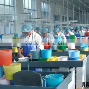 Sheep Hog Casing Meat Protein Forsausage Casing Sausage Casing thumbnail-5
