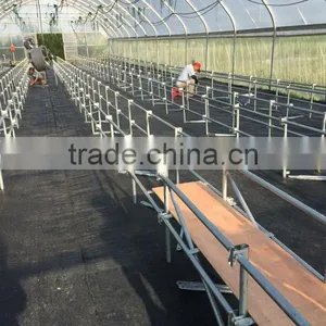 Plastic Greenhouse Cheap Agricultural Greenhouse for Sale thumbnail-1