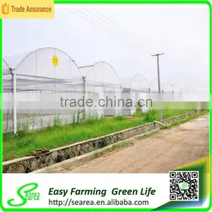 Grape Growing Agriculture Green House for Sale thumbnail-5